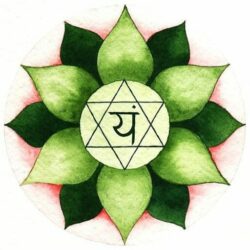 Logo_Anahata_Massage_Ayurvédique_Creuse